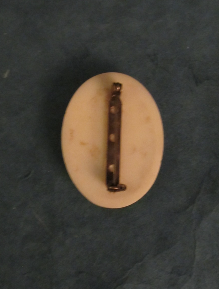 Broche Vintage En Lucite Forme Palmier - Épingle Décorative Années 70/80, Occasion