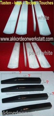 Keys for accordion, touches d' accordéon, Teclas para acordeón, accordion keys