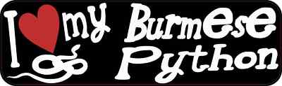 10x3 I Love My Burmese Python Bumper Sticker Vinyl Window Animal Decal Stickers