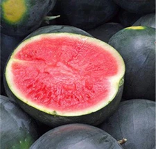20+Black Diamond Watermelon Seeds Average Fruit WT 30-50lbs USA