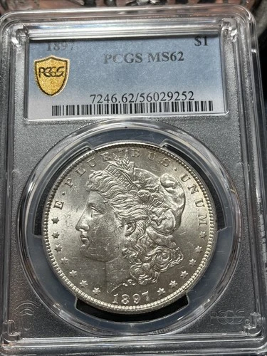 1897 Morgan Silver Dollar, PCGS Gold Shield Label, MS 62