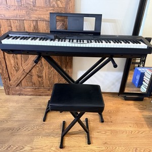 Yamaha P45 | eBay