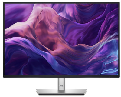 DELL - B2B P2425 24,1 Zoll WUXGA Business Monitor (5 ms Reaktionszeit, 100 Hz)