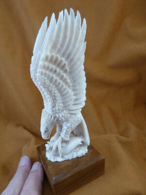 EAG-w54 large white Eagle wings up w/ fish shed ANTLER figurine Bali detailed