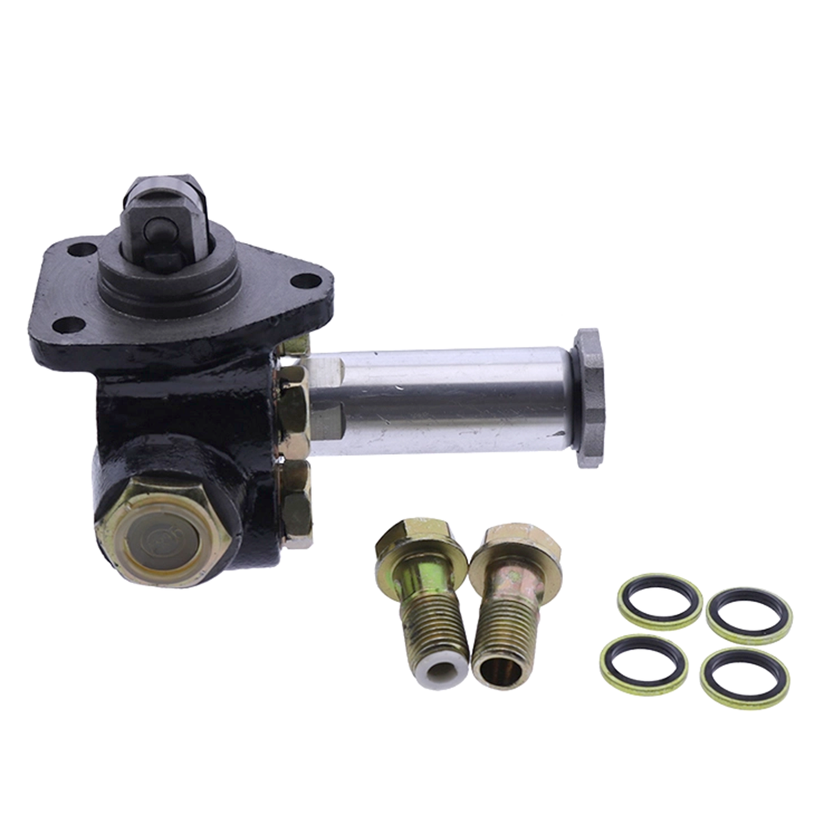 swm ZONGSHEN CBS300 ZS174MN Engine — AJ1moto Official Site
