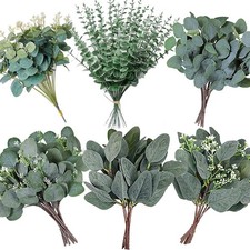 240Pcs 6 Kinds Mixed Eucalyptus Leaves Stems Bulk Artificial Silver Dollar Le...