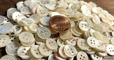 8 Small Iridescent Cream Trocas Shell MOP Sew-through Buttons 10mm 3/8" 12762