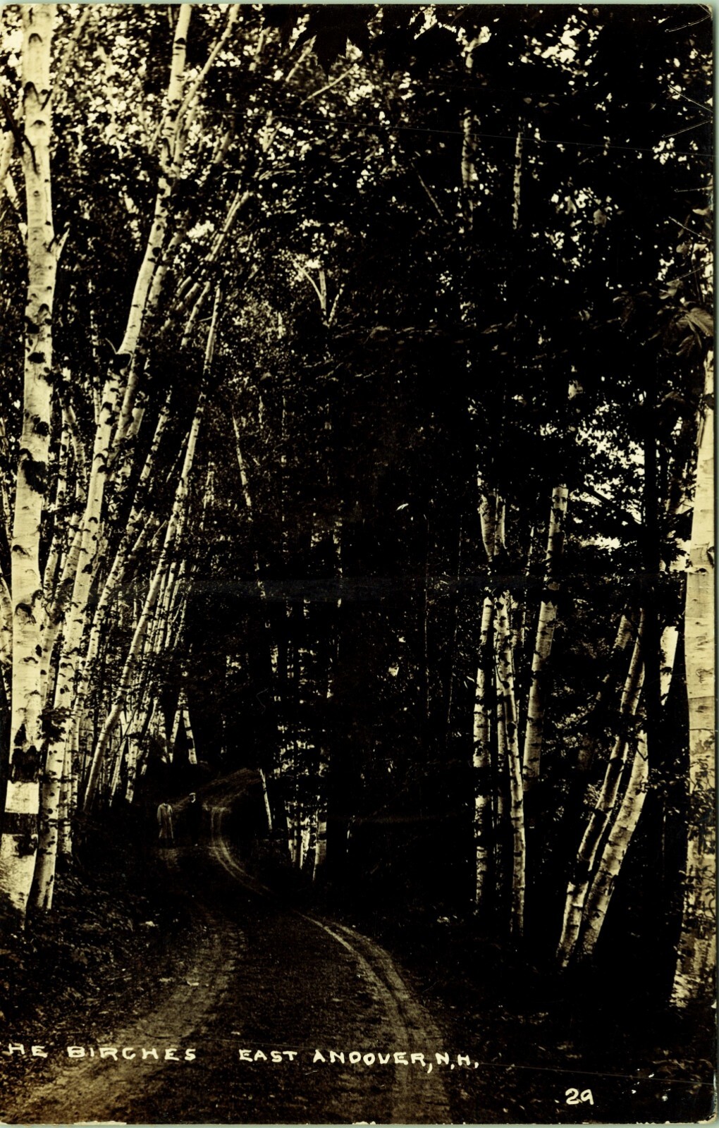 RPPC The Birches Dirt Road East Andover New Hampshire Real Photo