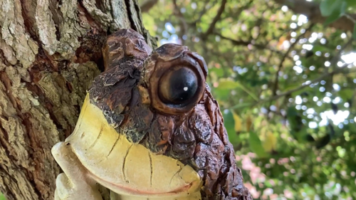 Wall mount Frog Garden Ornament Fence Tree hanging décor Garden Pond ...