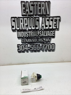 Schneider Electric Pilot Light 9001SKP1LGG31 NIB