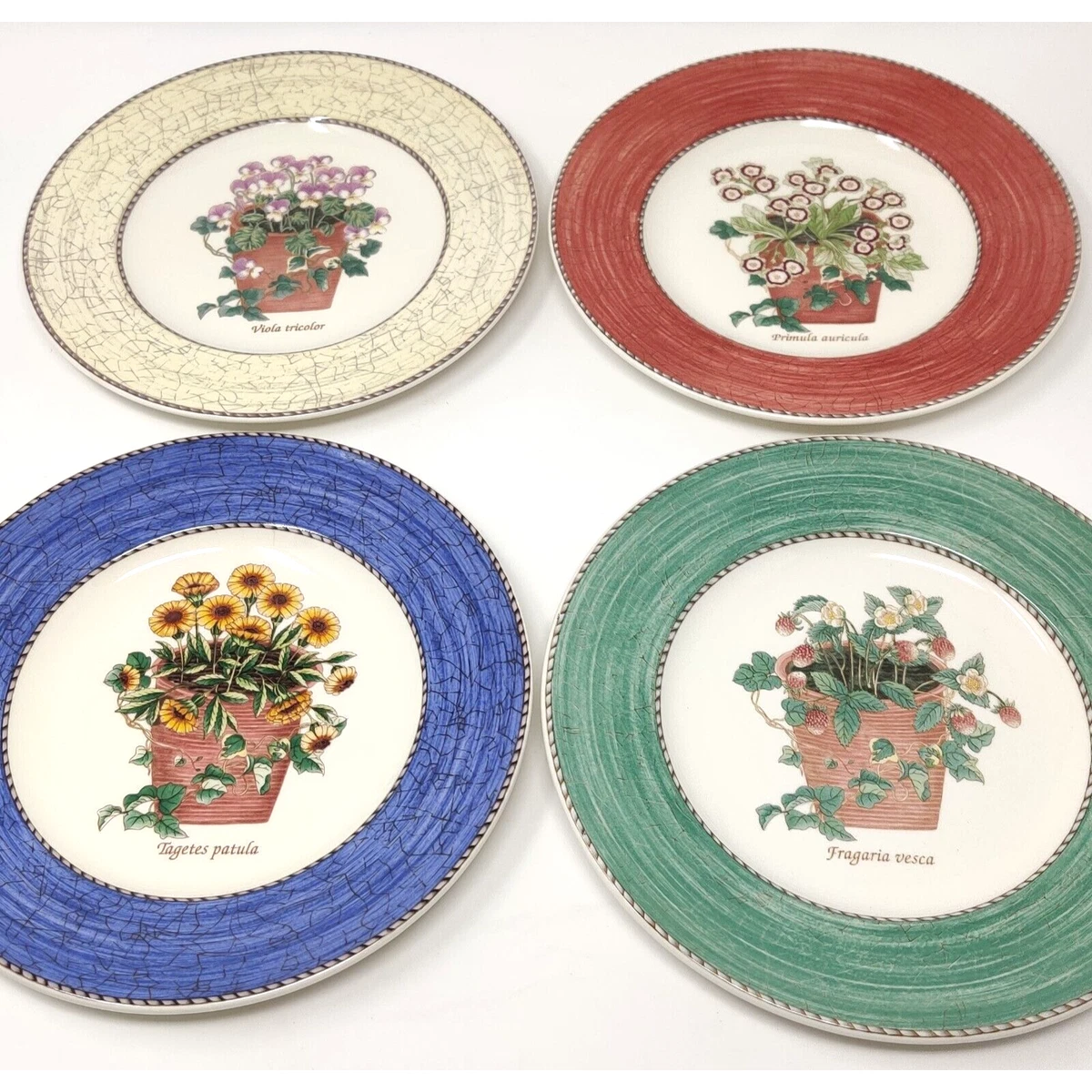 Sarah S Garden for sale | eBay