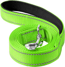 4FT Reflective Nylon Dog Leash with Soft Padded Handle for Walking, Running and