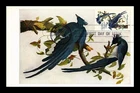 Dr Jim Stamps 5C Audubon'S Columbia Jay Art First Day Issue Maximum Card