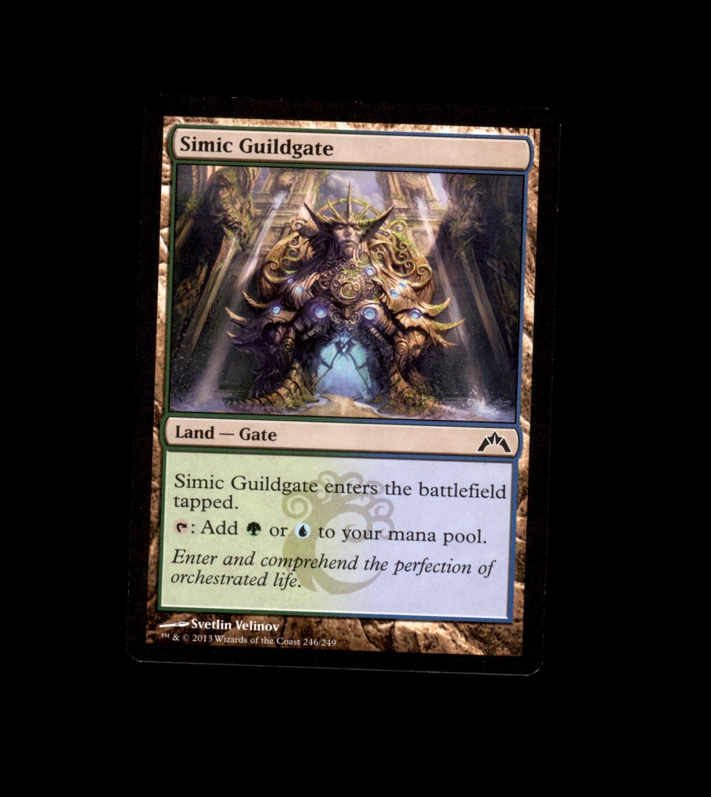Simic Guildgate 246 Common Gatecrash Magic: The Gathering Lightly Played