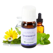 Spearmint Essential Oil Natural Aroma Aromatherapy Soap Cosmetic 100% Pure 10ml