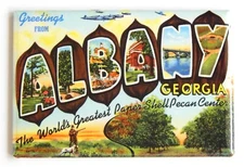 Greetings from Albany Georgia FRIDGE MAGNET travel souvenir "style B"