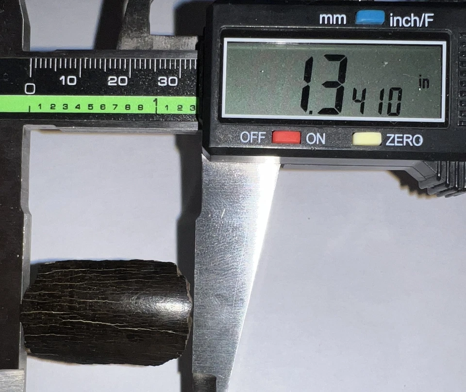 Framed TYRANNOSAURUS REX TREX Dinosaur Fossil Tooth Fragment 1.34 INCHES! - Image 4 of 4