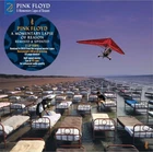 Pink Floyd - A Momentary Lapse Of Reason (2019) |2LP| Remixed/Updated)