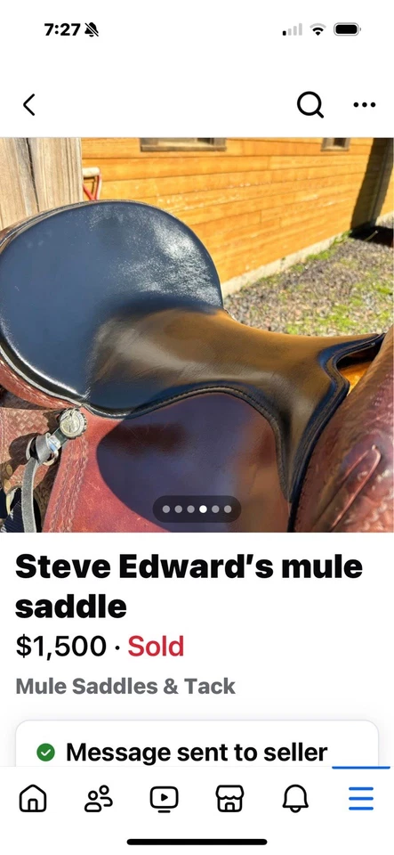 Steve Edward's Ultra Lite 骡鞍 15 英寸 状况完好 — 第 3/4 张图片