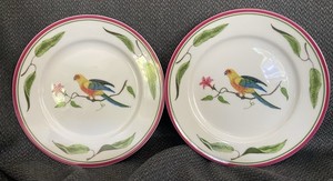 Lynn Chase Parrots of Paradise | eBay