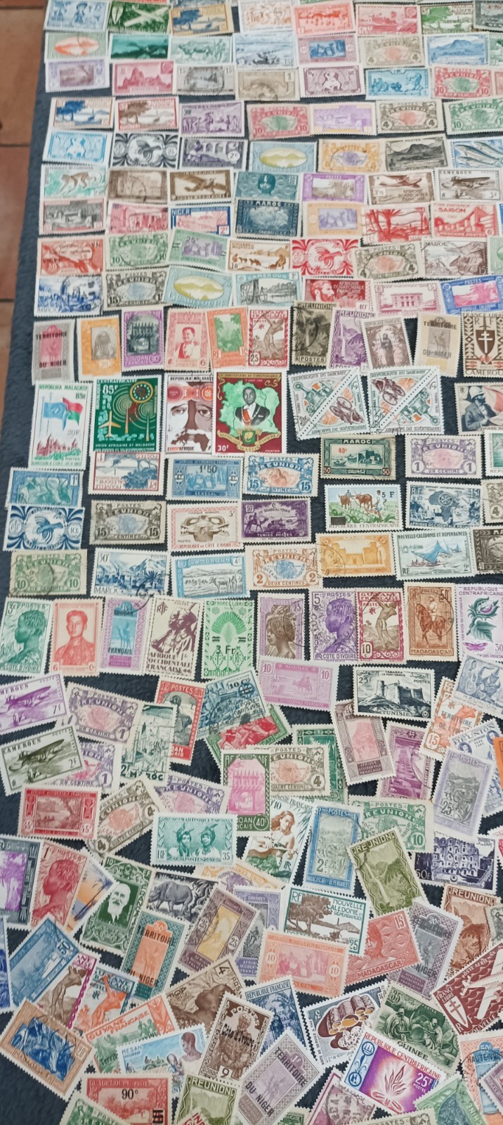 Foto 5 di 24