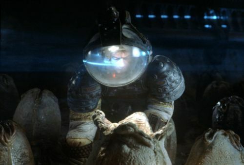 ALIENS,PROMETHEUS,ALIEN,10 x 8 PHOTO'S,MANY DIFFERENT SINGLE PHOTOS.LOT - Picture 3 of 87