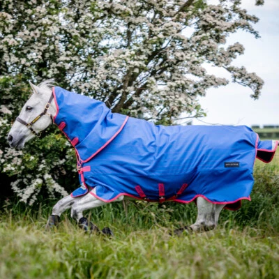 Horseware Amigo Bravo 12 Reflectech Plus Medium 250g - Blu/Riflettente