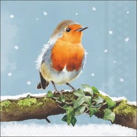 Weihnachten - Cocktail Servietten 25X25 Cm - 3-Lagig - 20 Servietten - Robin On