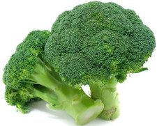 50+ BROCCOLI SEEDS - WALTHAM 29 -- HEIRLOOM - ORGANIC - NON GMO ----- FRESH