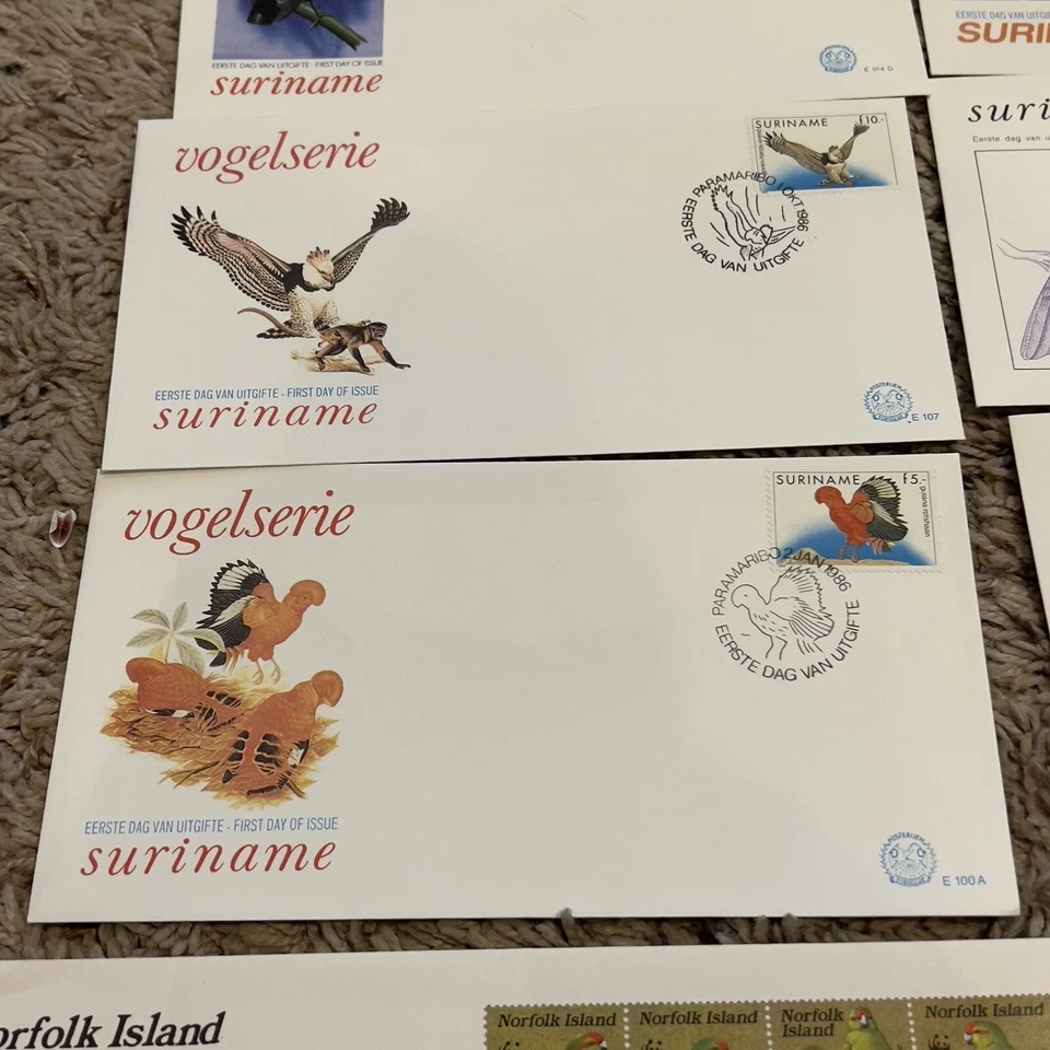 LOTE DE 12 CUBIERTAS DE AVES EN TODO EL MUNDO DE SURINAM NORFOLK AUSTRIA EE. UU. Foto 3 de 4