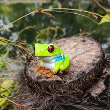 Animal Heavenly Body Red-eyed Tree Frog Statue Agalychnis callidryas
