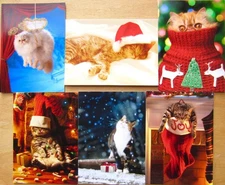 Cat Themed Christmas Card AVANTI Funny / Naughty / Sweet TABBY / PERSIAN +