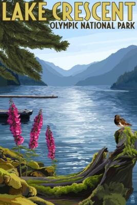 Olympic National Park Washington State 12x18 Metal Sign Artwork Lantern Press