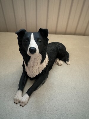 Border Fine Arts - (Dogs Galore) - Border Collie (Black & White Colour) DG014a