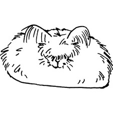 Stempel "Angora Hase" unmontiert (RS018185)