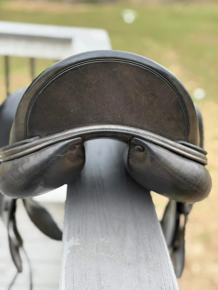 17,5” Amerigo Cortina +1 y solapa corta Foto 4 de 4