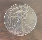 2020 Walking Liberty American Eagle .999 Fine Silver Dollar Coin 1 oz