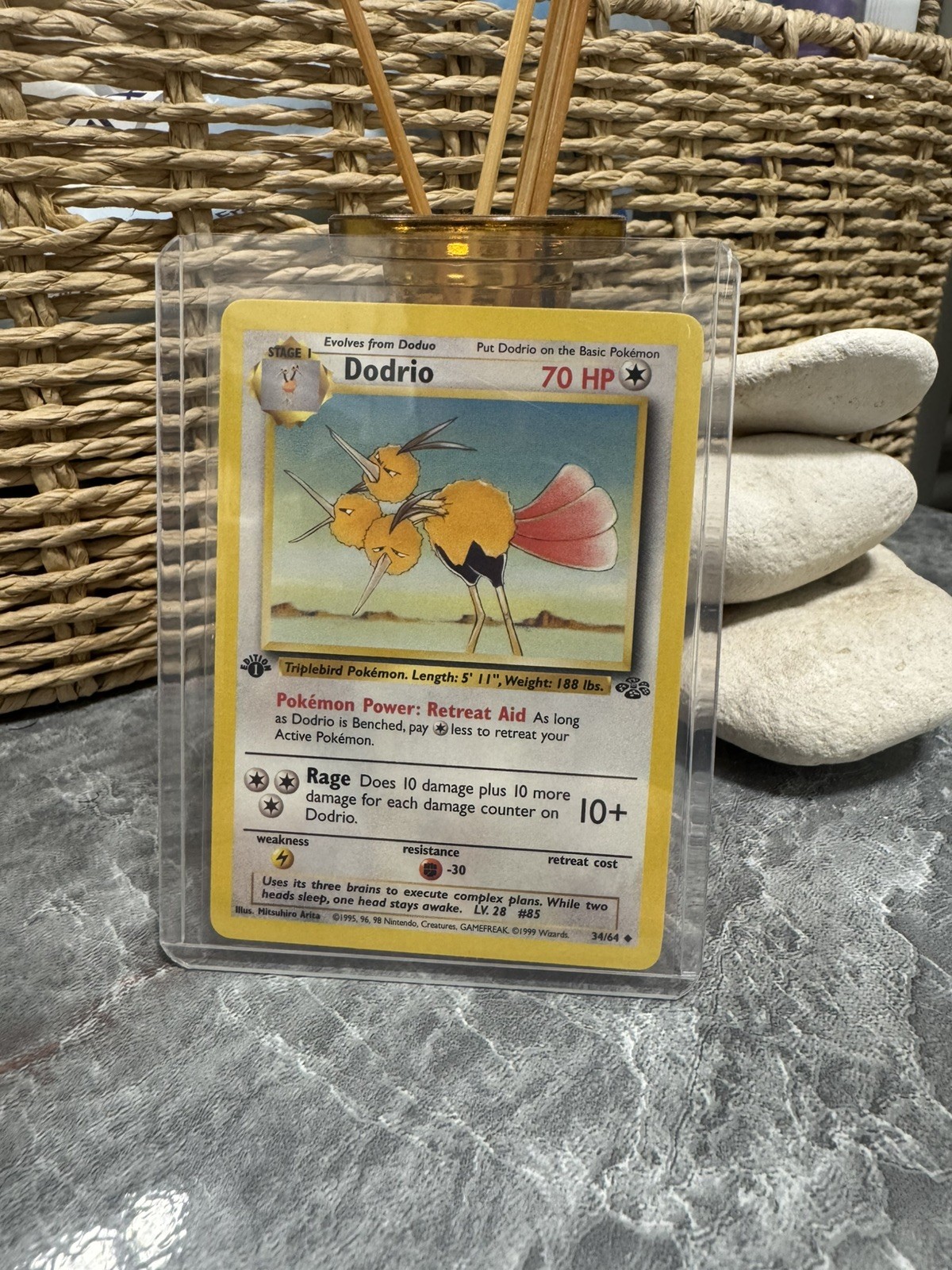 Pokemon TCG Dodrio Jungle 1st Edition Uncommon 34/64 NM/Mint Condition