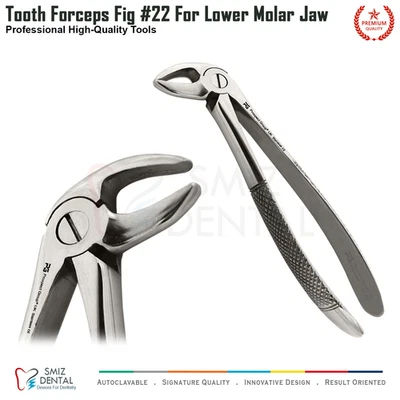 Dental Tooth Extracting Forcep For Lower Molars Jaw For Pulling Teeth Tooth - Image 1 of 4