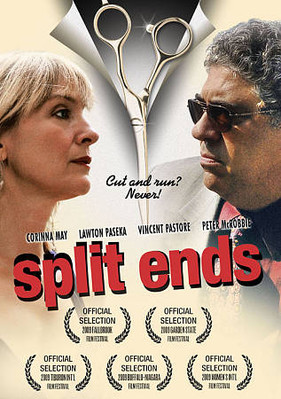Split Ends (New DVD 2010 WS)  May Pastore Paseka McRobbie Schnee Russo FREE Ship