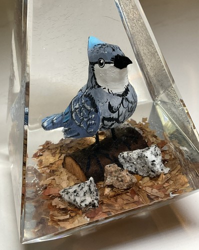 Hand Carved Wood Blue Robin Bird Encased Clear Lucite Paperweight Sculpture 5”