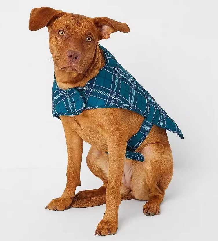 Dog coat top medium size