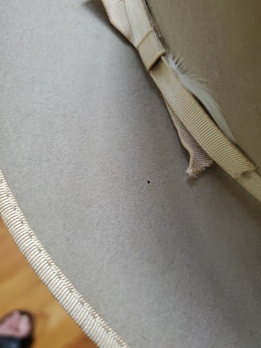 Royal Stetson vintage hat 7? - 7 1/4? Beige thin ribbon, replaced sweatband - Picture 8 of 21