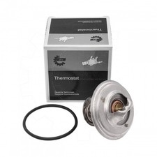 Thermostat Audi 200