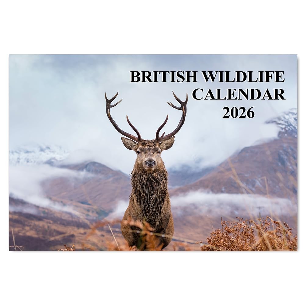 British Wildlife Calendar 2026 12 Month to View A4 Wall
