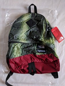 supreme the north face snakeskin lightweight day pack green