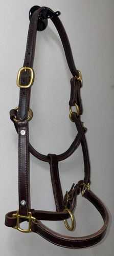 NEU LEDER PFERDEHALFTER MIT MESSINGBESCHLÄGEN - Bild 4 von 6