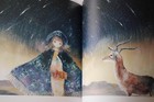 Bild 11 von 12
