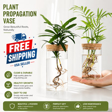 Glass Hydroponic Plant Vase Propagation Station Desktop Flower Vase Home Decor