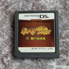 Nintendo DS Pokemon Mystery Dungeon Explorers of Darkness Japanese Game